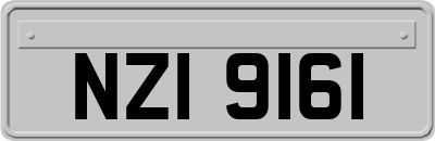 NZI9161