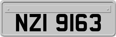 NZI9163