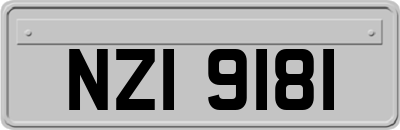 NZI9181