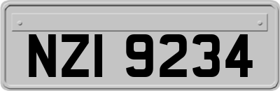 NZI9234
