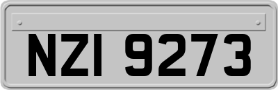 NZI9273