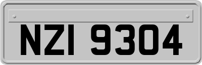 NZI9304