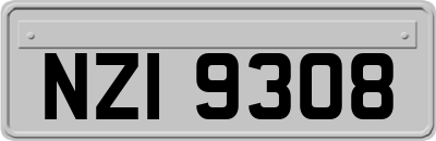 NZI9308