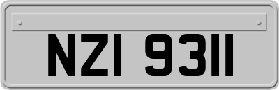 NZI9311