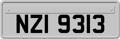 NZI9313