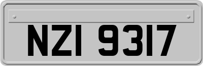 NZI9317