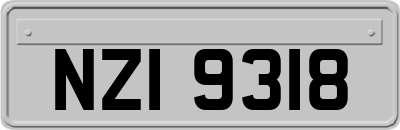 NZI9318