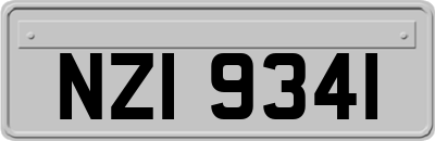 NZI9341