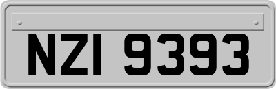 NZI9393