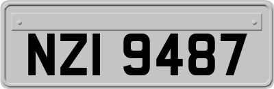 NZI9487