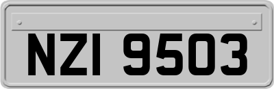 NZI9503