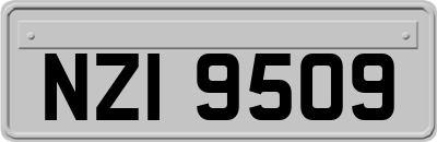 NZI9509