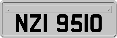 NZI9510