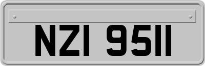 NZI9511