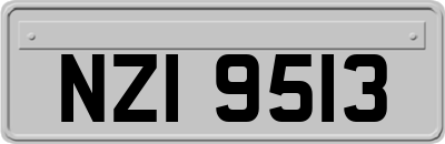 NZI9513