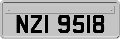 NZI9518