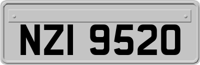 NZI9520