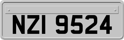 NZI9524