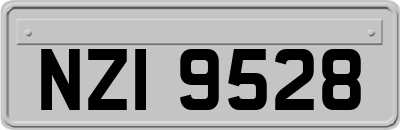 NZI9528