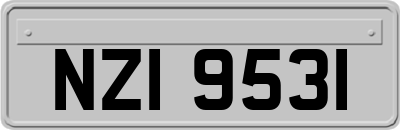 NZI9531