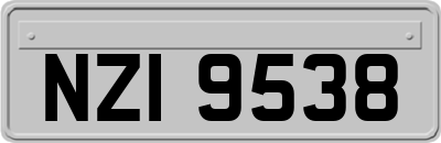 NZI9538