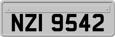 NZI9542