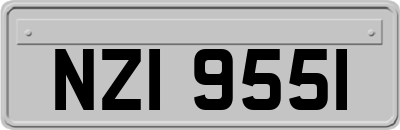 NZI9551