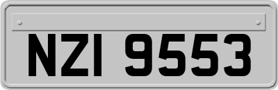 NZI9553