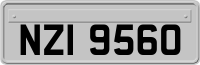 NZI9560