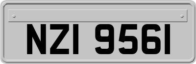 NZI9561