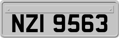 NZI9563
