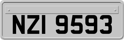 NZI9593