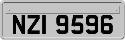 NZI9596