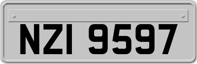 NZI9597