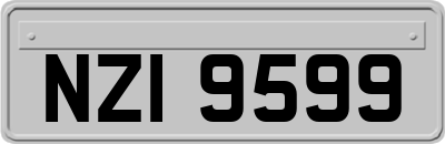 NZI9599