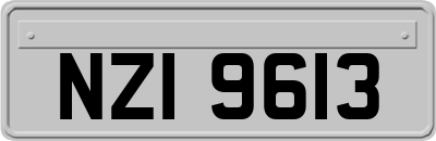 NZI9613