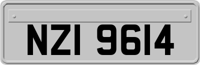 NZI9614