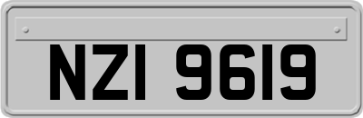 NZI9619