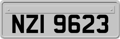NZI9623