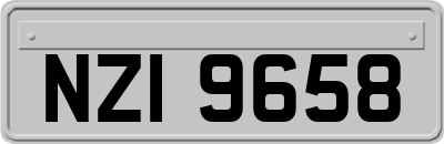 NZI9658