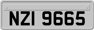 NZI9665