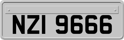 NZI9666