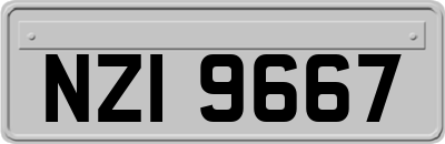 NZI9667
