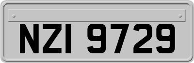 NZI9729