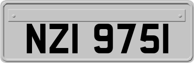 NZI9751