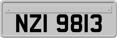 NZI9813