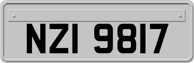 NZI9817