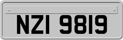 NZI9819