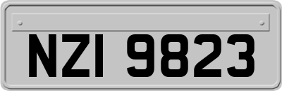 NZI9823