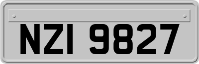 NZI9827